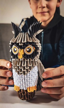 ORIGAMI 3D - SOWA