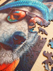 Puzzle drewniane – Cold is cool – Malamute Alek – 316 el.