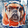 Puzzle drewniane – Cold is cool – Buldog Gustaw – 316 el.