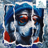 Puzzle drewniane – Cold is cool – Malamute Alek – 316 el.