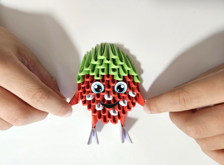 ORIGAMI 3D - ZESTAW 5 OWOCÓW